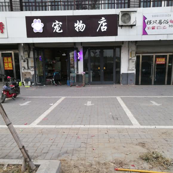 宠物店:徐州市新沂市
