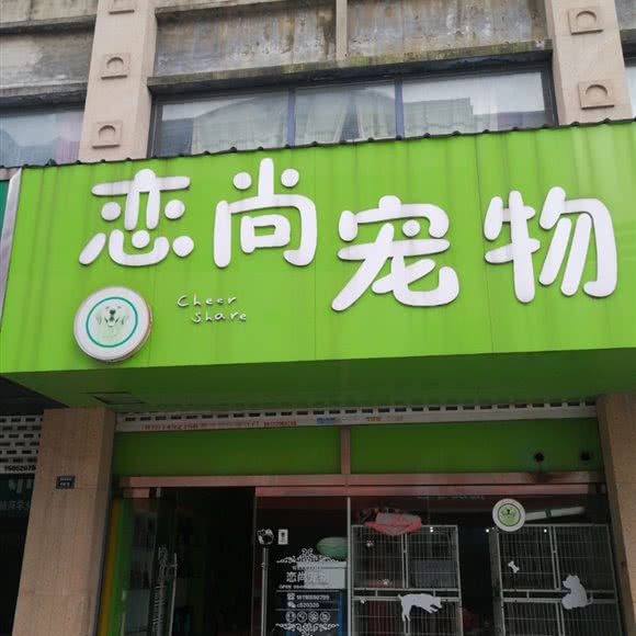 恋尚宠物:徐州市新沂市