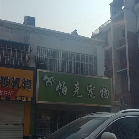 帕克宠物:徐州市新沂市
