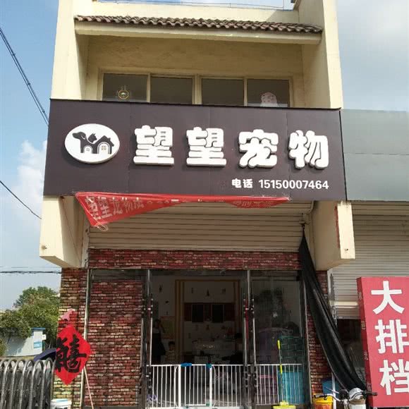 望望宠物:徐州市新沂市