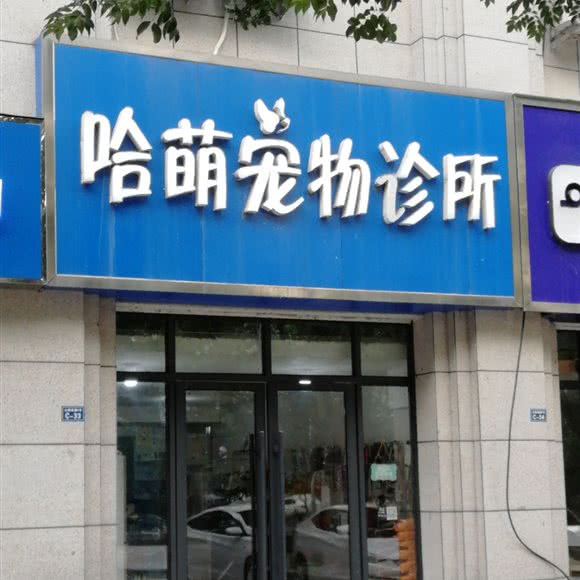哈萌宠物诊所:徐州市新沂市