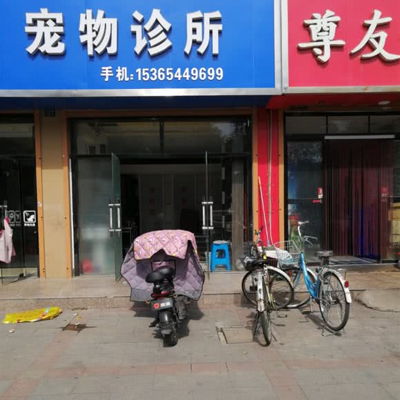 宠物诊所:徐州市新沂市