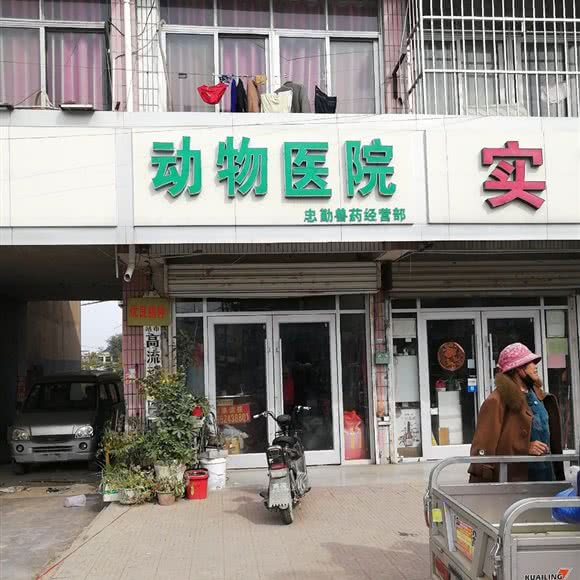 动物医院:徐州市新沂市