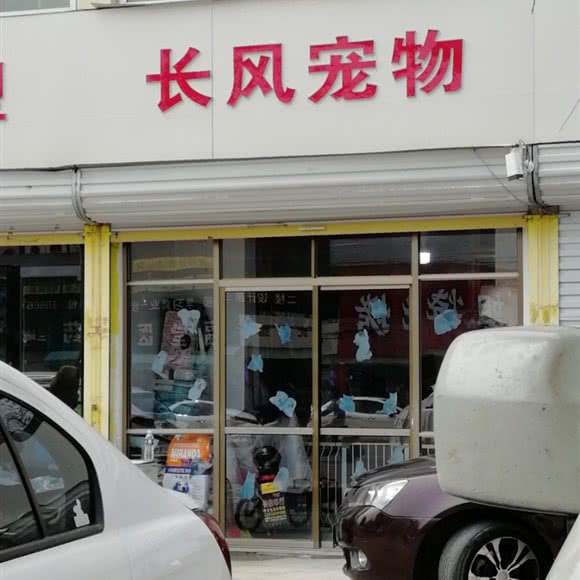 长风宠物:徐州市邳州市
