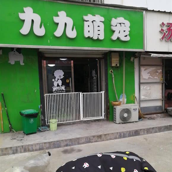九九萌宠:徐州市邳州市