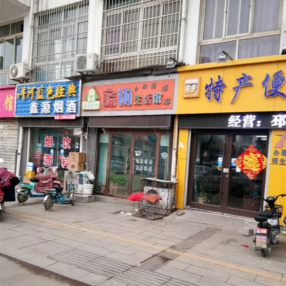 大陆宠物宠物生活馆:徐州市邳州市