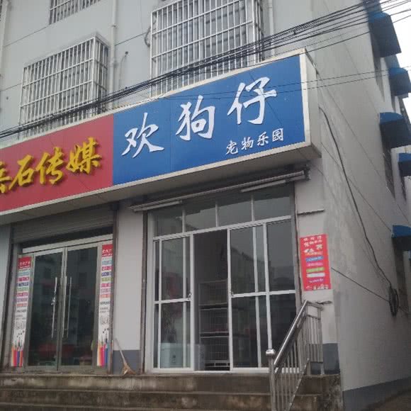 欢狗仔宠物乐园:徐州市邳州市
