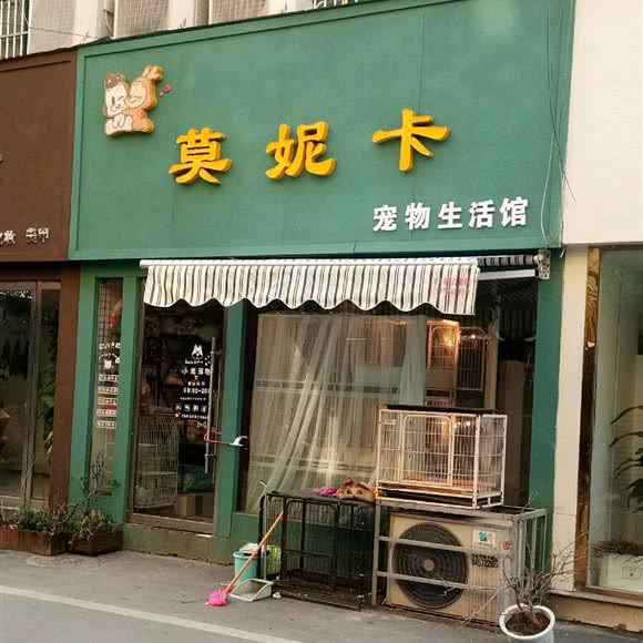 莫妮卡宠物生活馆:徐州市邳州市