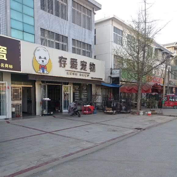 存爱宠物:徐州市邳州市