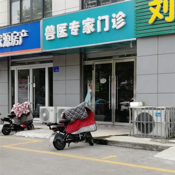 兽医专家门诊:徐州市邳州市