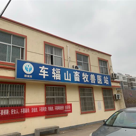 车辐谷畜牧兽医站:徐州市邳州市