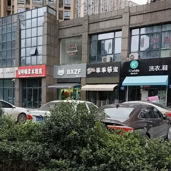 乖乖萌宠:常州市天宁区