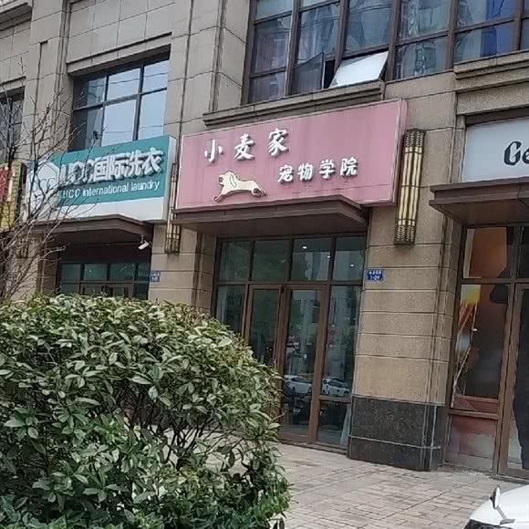 小麦家宠物学院:常州市天宁区