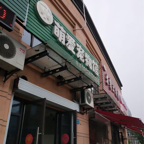 萌爱宠物馆(钟楼区永红):常州市钟楼区