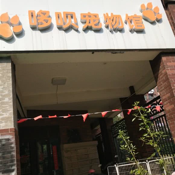 哆呗宠物馆:常州市钟楼区