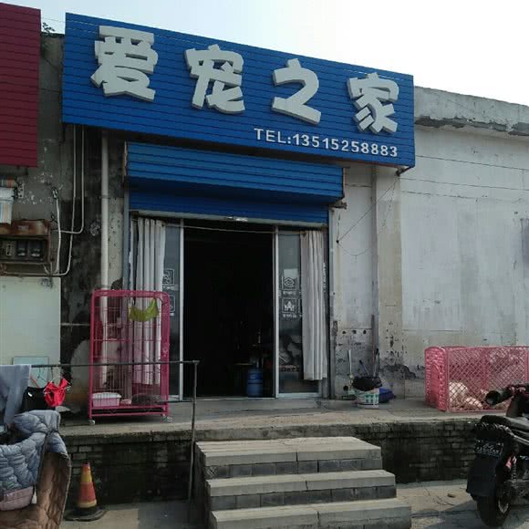 爱宠之家:常州市钟楼区