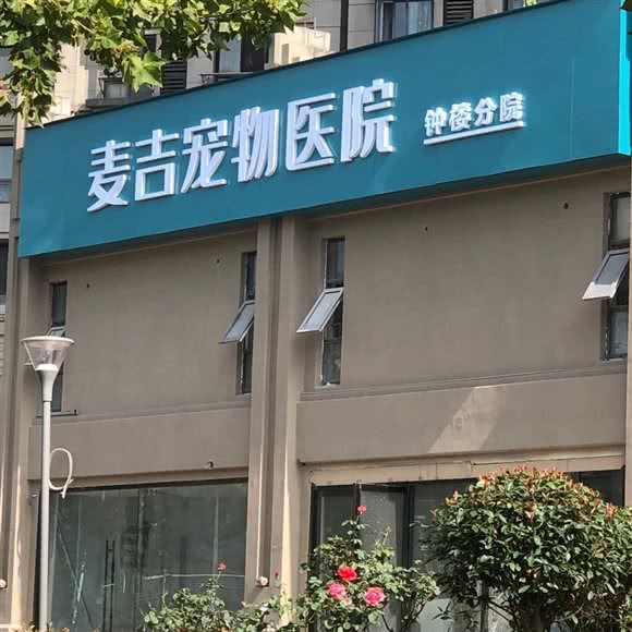 麦吉宠物医院(钟楼分院):常州市钟楼区