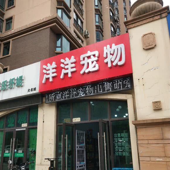 洋洋狗狗:常州市新北区