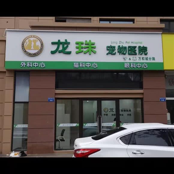 龙珠宠物医院·眼科中心(万和城分院):常州市新北区