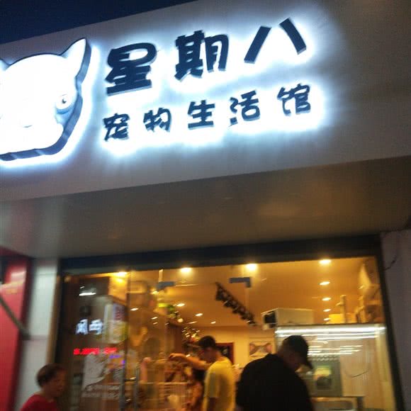 星期八宠物狗生活馆:常州市武进区