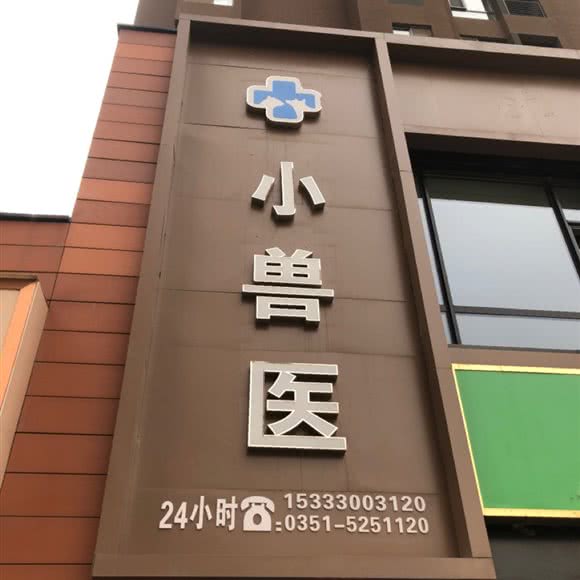 小兽医宠物诊疗:太原市万柏林区和平南路附近