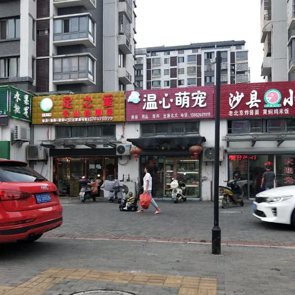 温心萌宠:常州市金坛区