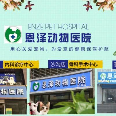 恩泽动物医院(沙沟店):太原市万柏林区和平南路附近
