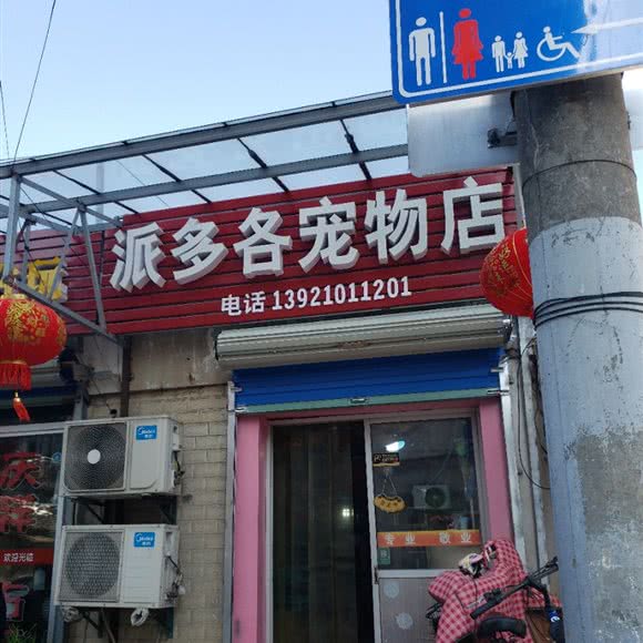 派多各宠物店:常州市金坛区