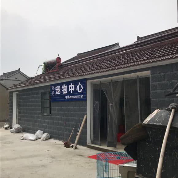 轩浩宠物中心:常州市金坛区