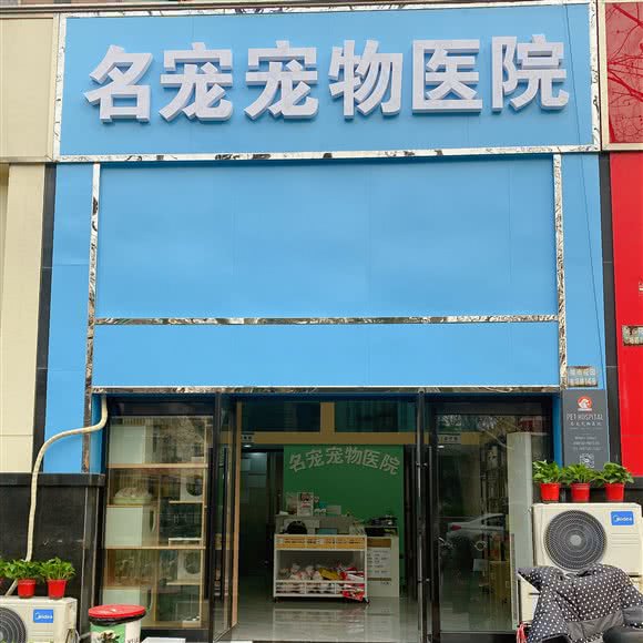 名宠宠物医院:常州市金坛区