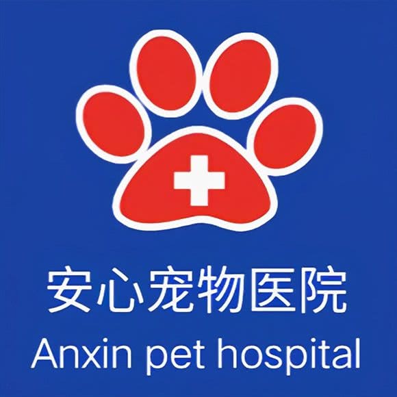 金坛市安心宠物医院:常州市金坛区