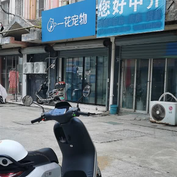一花宠物:常州市溧阳市