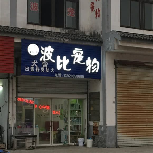 波比宠物:常州市溧阳市