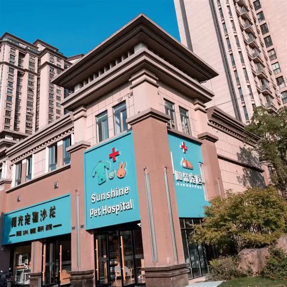 阳光宠物医院:常州市溧阳市
