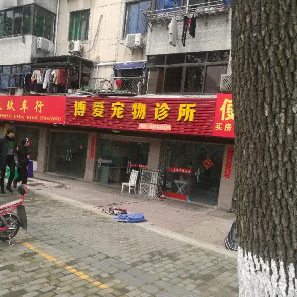 博爱宠物诊所:常州市溧阳市