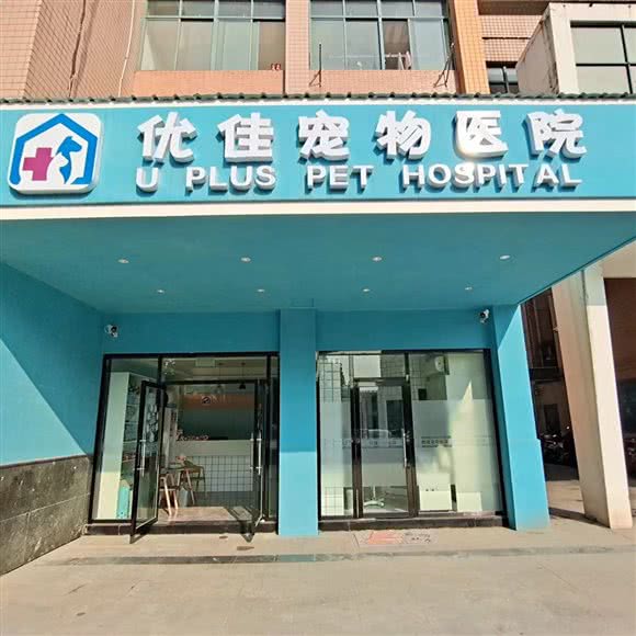 天目湖优佳宠物医院:常州市溧阳市