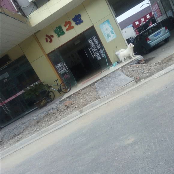 小宠之家:苏州市相城区