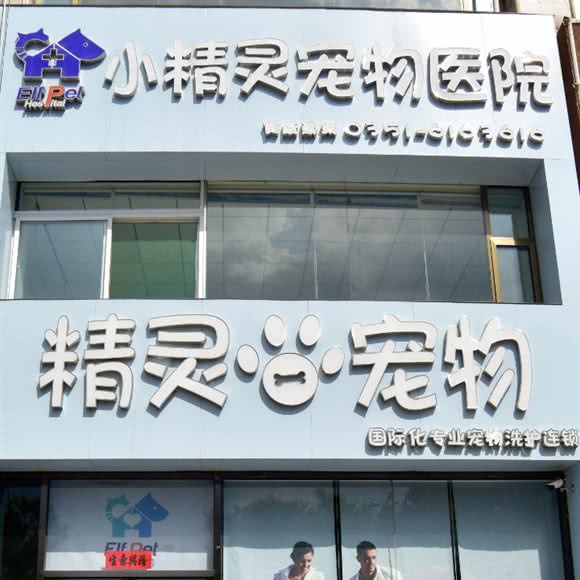 小精灵宠物医院(千峰南路店):太原市万柏林区千峰南路附近