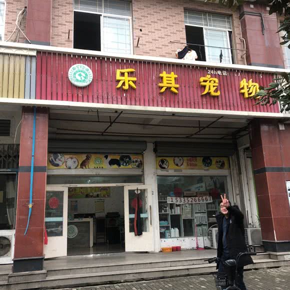 乐其狗狗:苏州市吴江区