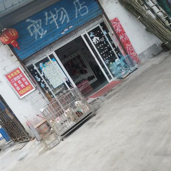 宠物店:苏州市吴江区