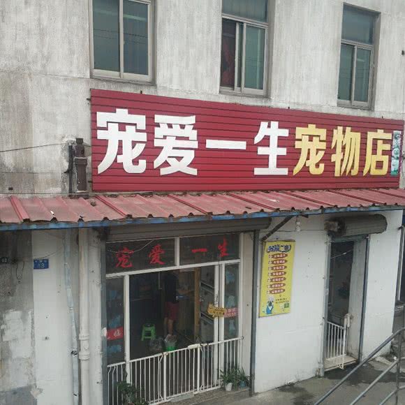 宠爱一生宠物店:苏州市吴江区