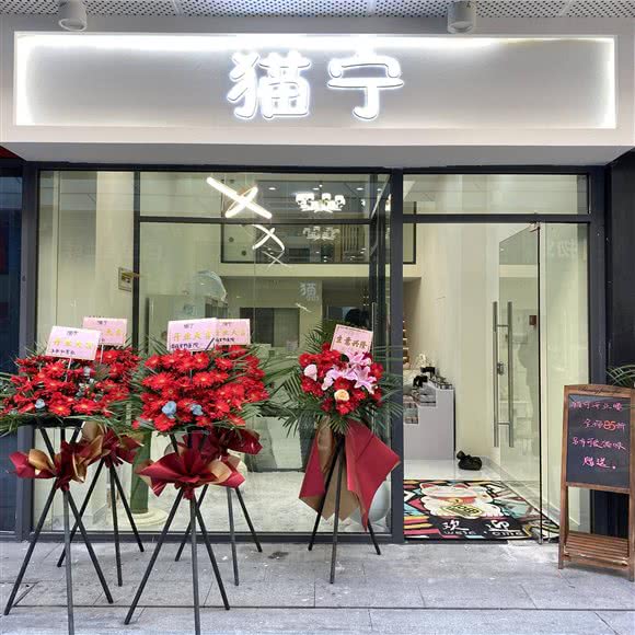 猫宁宠物:苏州市吴江区