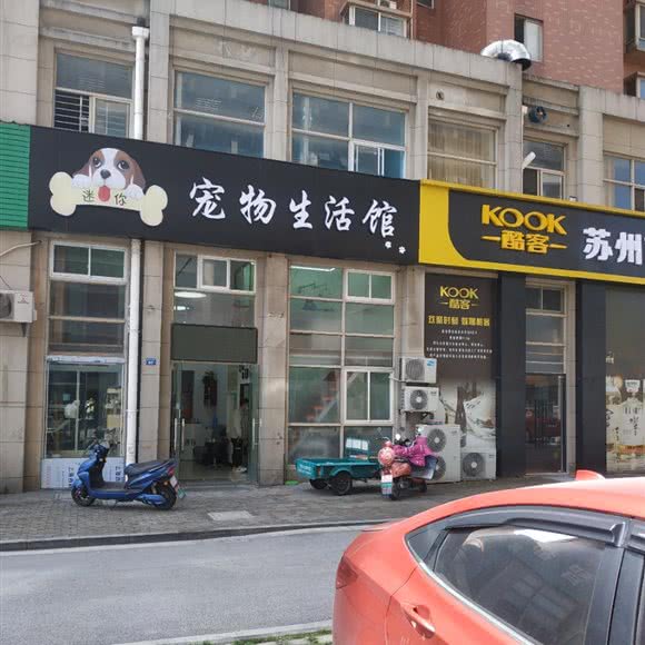 迷你狗狗生活馆:苏州市吴江区