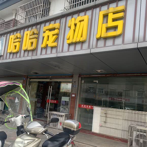 哈哈宠物店:苏州市吴江区