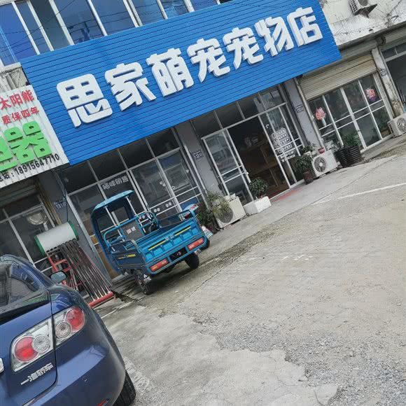 思家萌宠宠物店:苏州市常熟市