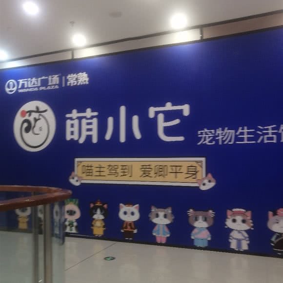 萌小它宠物:苏州市常熟市