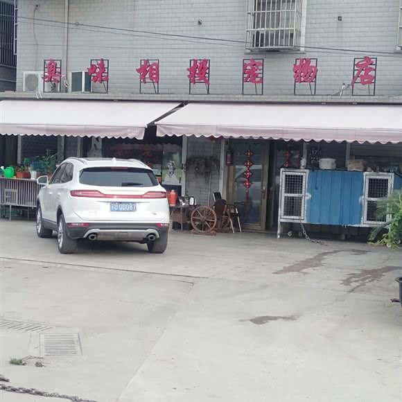 臭味相投宠物店:苏州市常熟市