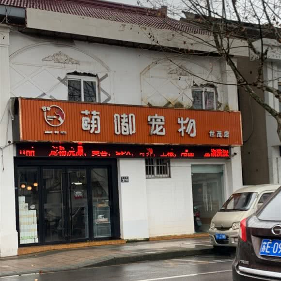 萌嘟宠物(世茂店):苏州市常熟市