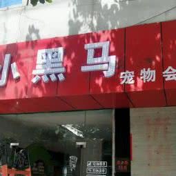 小黑马宠物会所:苏州市常熟市