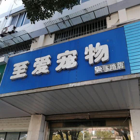 至爱宠物(枫林路店):苏州市常熟市